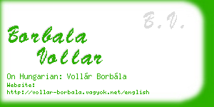 borbala vollar business card